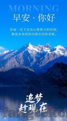 伦理网站-伦理网站的数字时代镜像，构建与反思