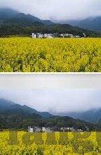 糖心视频vlog-糖心视频Vlog，记录生活之美，分享创意瞬间